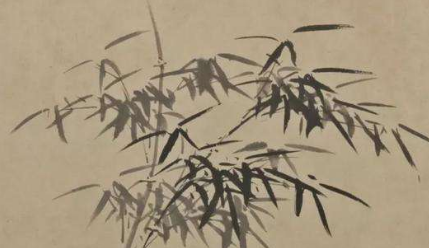 明代诗词代表人物生平简介：徐渭，传世作品《墨葡萄图》