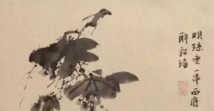 徐渭:以其独特的笔触,开创大写意花鸟画风之先河