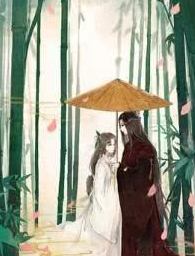 女驸马黄崇嘏的传奇经历,幸得伯乐相识