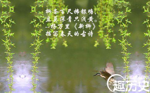 杨万里写了两万多首诗歌却只流传下两千多首