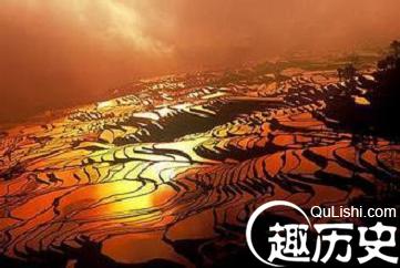 哈尼族梯田文化 哈尼族的梯田有何历史